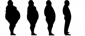 obesity control