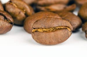 arabica coffee bean