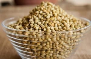 coriander seeds