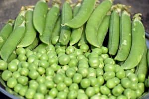 green peas