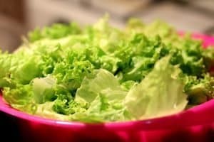lettuce leaves