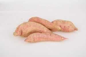 sweet potato